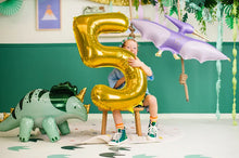 Lade das Bild in den Galerie-Viewer, Folienballon Pterodaktylus Dinosaurier

